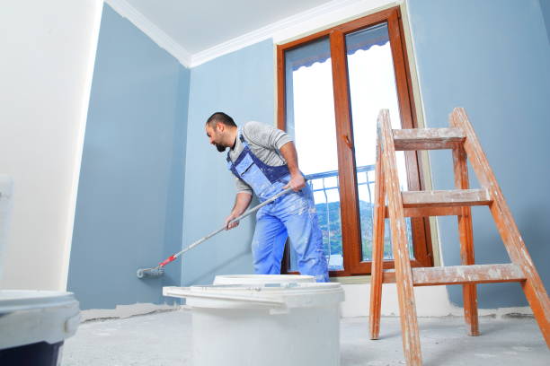 Granite Shoals, TX Mold Removal Company