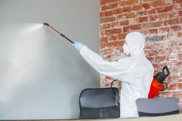 Best Comprehensive Air Testing for Mold Contaminants  in Granite Shoals, TX