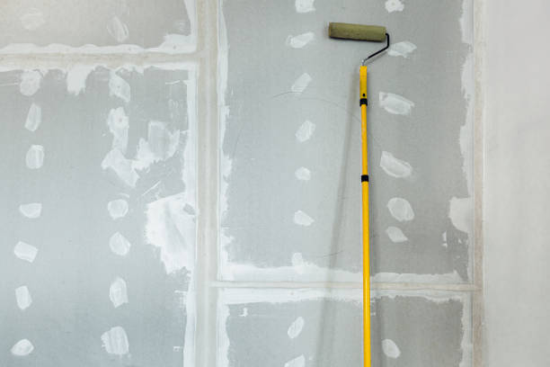 Best Real Estate Mold Inspection  in Granite Shoals, TX